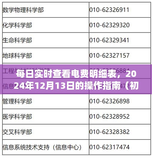 2024年12月13日电费明细表实时查看操作指南，适合初学者与进阶用户