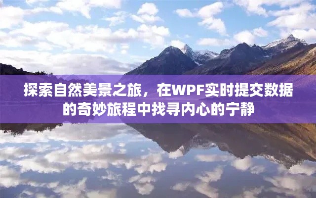 自然美景与数据提交，WPF之旅探寻内心宁静的奇妙旅程