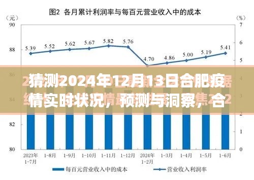 合肥疫情预测洞察，展望2024年12月13日的实时状况