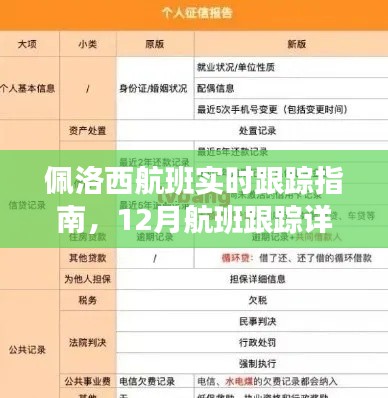 佩洛西航班实时跟踪指南，详细解析12月航班跟踪步骤