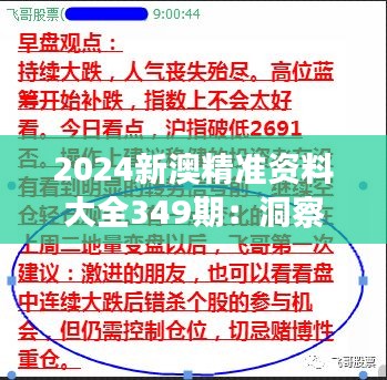 2024新澳精准资料大全349期：洞察商机，精准出击