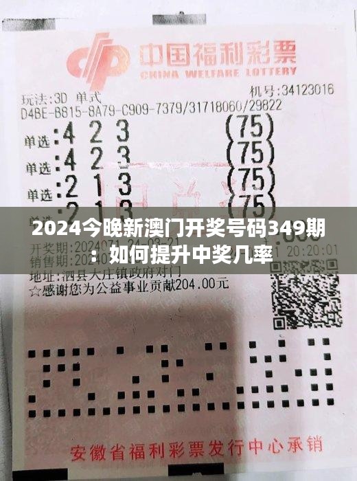 2024今晚新澳门开奖号码349期：如何提升中奖几率