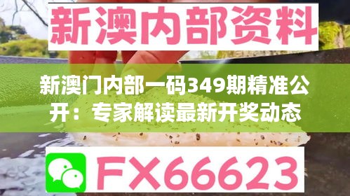 新澳门内部一码349期精准公开：专家解读最新开奖动态