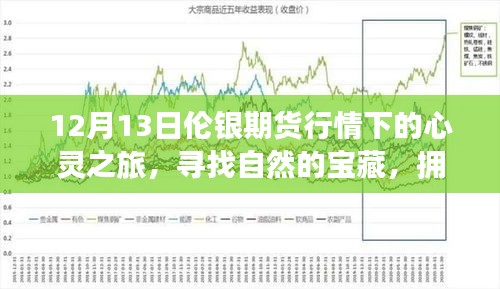 12月伦银期货行情下的心灵探索，自然宝藏与内心宁静的拥抱之旅