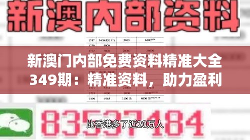 新澳门内部免费资料精准大全349期：精准资料，助力盈利