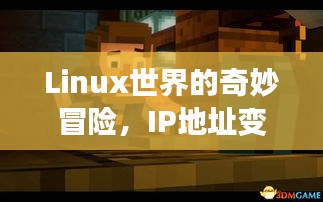 Linux世界的奇妙冒险，IP地址背后的暖心故事