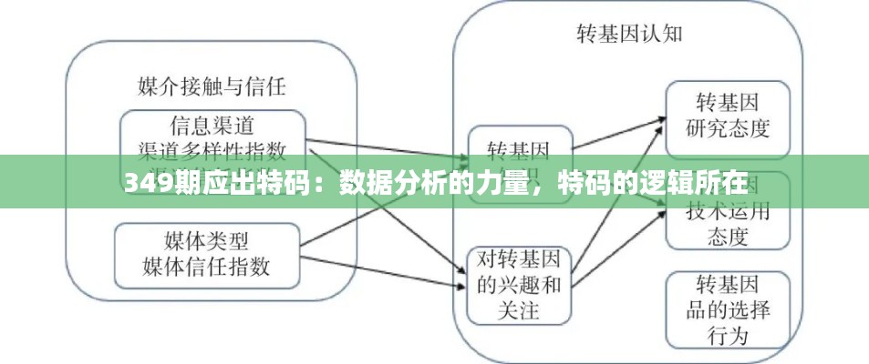 349期应出特码：数据分析的力量，特码的逻辑所在