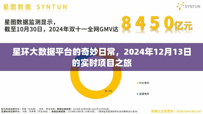 星环大数据平台实时项目之旅，揭秘日常与未来展望（2024年12月13日）