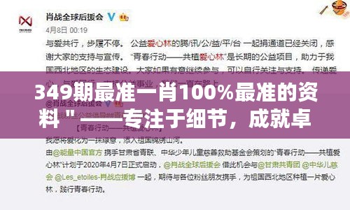 349期最准一肖100%最准的资料＂——专注于细节，成就卓越