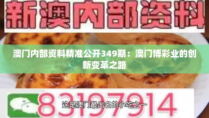 资料 第24页