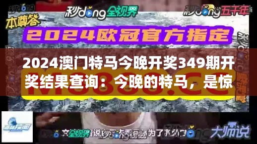 2024澳门特马今晚开奖349期开奖结果查询：今晚的特马，是惊喜还是失望？