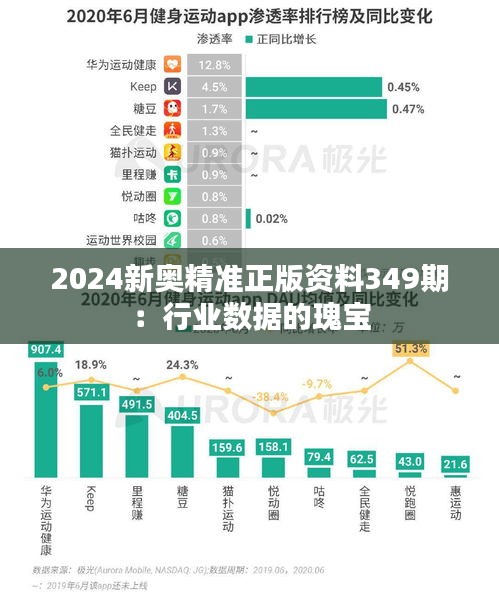 2024新奥精准正版资料349期：行业数据的瑰宝