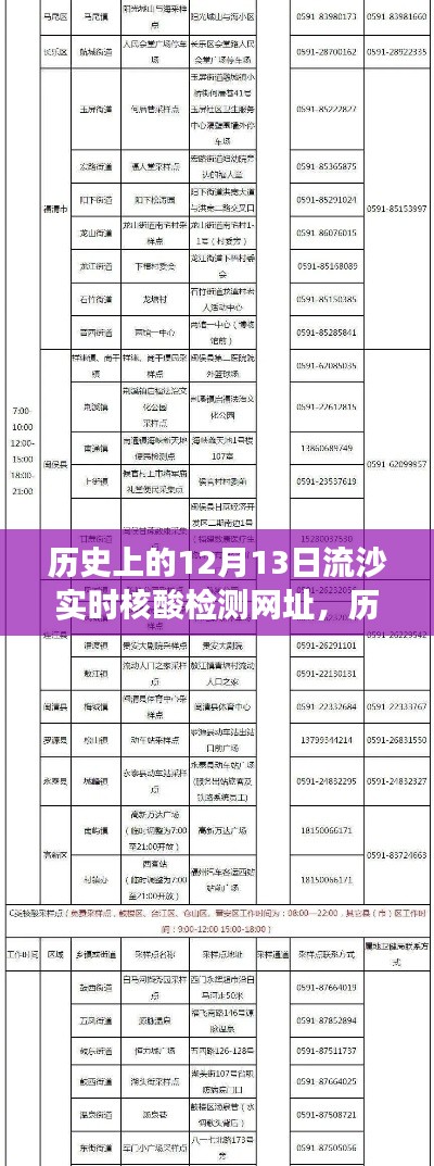 历史上的12月13日流沙实时核酸检测网址，探寻检测技术与在线服务的变迁发展之路