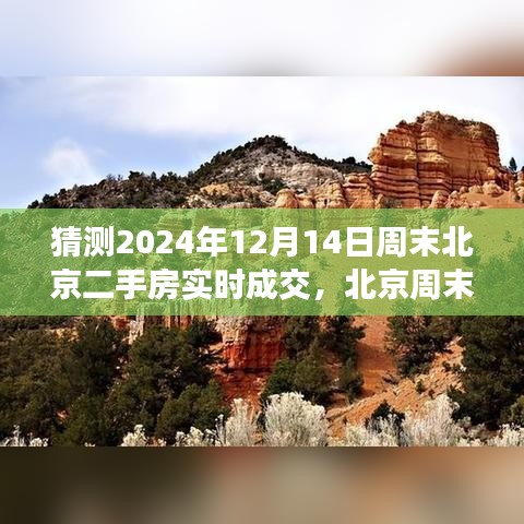 北京周末二手房市场风云变幻，预测2024年12月14日实时成交走势