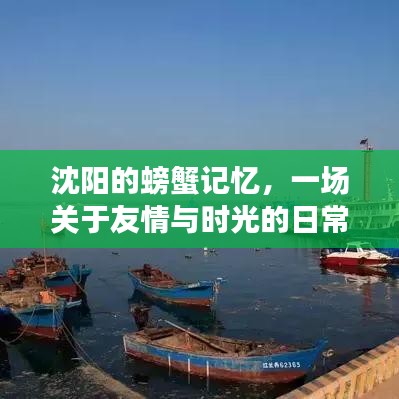 沈阳螃蟹记忆，友情与时光的日常故事