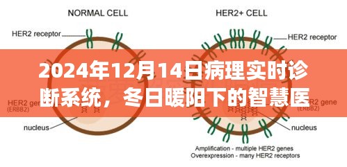 冬日暖阳下的智慧医疗之旅，病理实时诊断系统的应用与展望