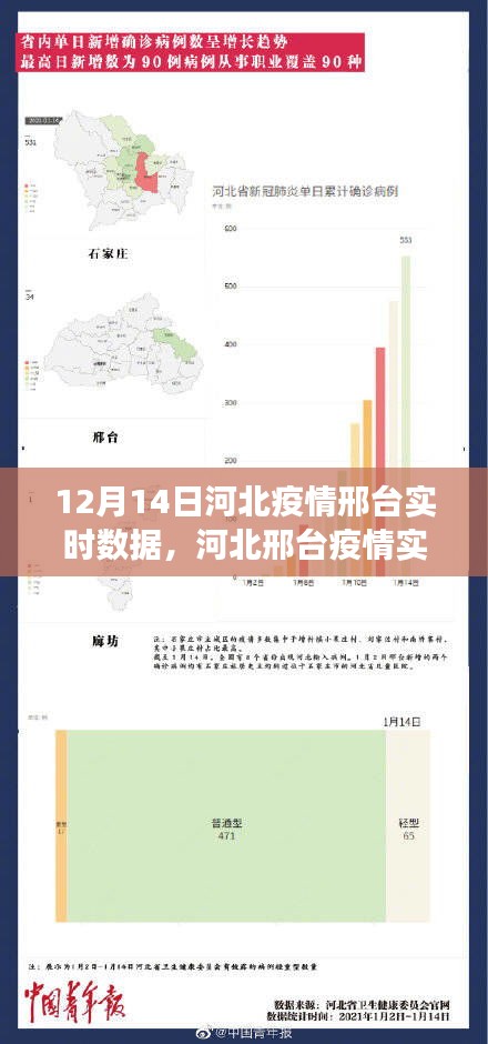 河北邢台疫情实时数据观察，不可忽视的视角