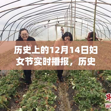 历史上的妇女节，回顾与影响——聚焦12月14日妇女节实时播报