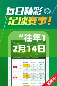 “往年12月14日新澳天天开奖免费资料大全最新”——揭示彩票大奖背后的数字奥秘