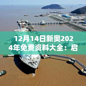 12月14日新奥2024年免费资料大全：启迪智慧的源泉