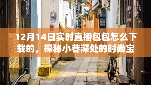 探秘时尚宝藏，12月14日直播教你下载独特包包，开启寻包之旅！