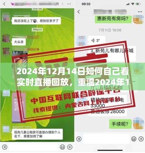 如何观看和重温2024年12月14日直播回放，记录历史时刻与时代印记