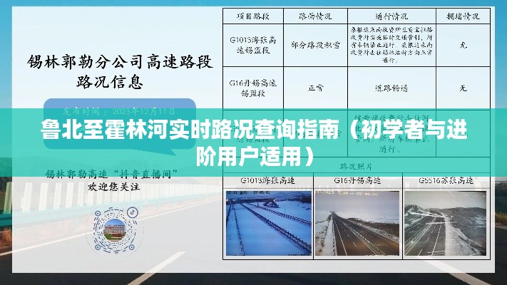 鲁霍路况查询指南，实时路况信息，初学者与进阶用户必备参考