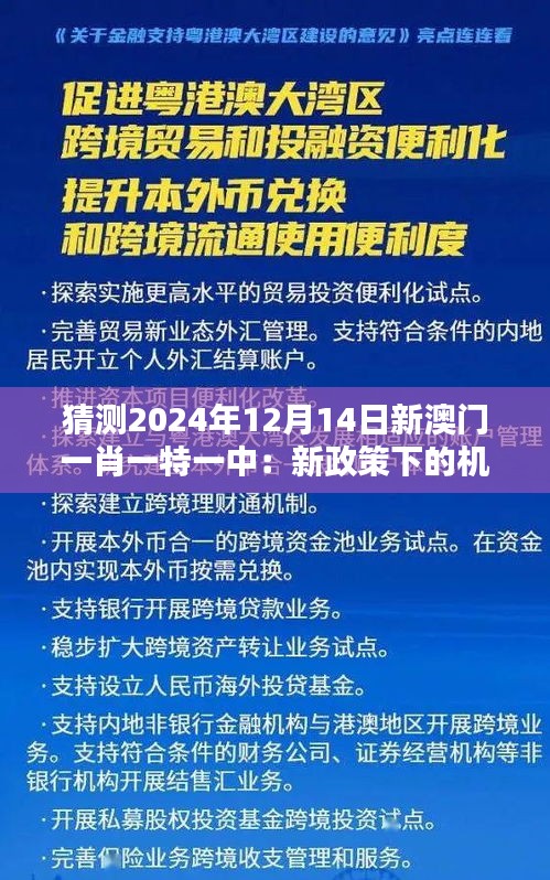 猜测2024年12月14日新澳门一肖一特一中：新政策下的机遇与挑战