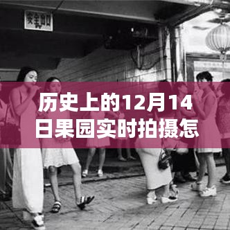 历史上的12月14日果园实时拍摄时间设置方法与技巧