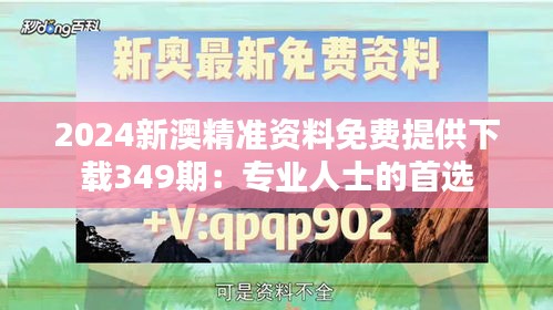 2024新澳精准资料免费提供下载349期：专业人士的首选