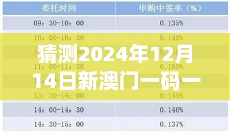 猜测2024年12月14日新澳门一码一码100准确：揭示概率游戏的真相