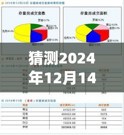 猜测2024年12月14日新澳2024天天正版资料大全：信息准确性的终极追求