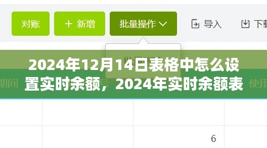 2024年实时余额表格设置详解，操作指南与观点分析