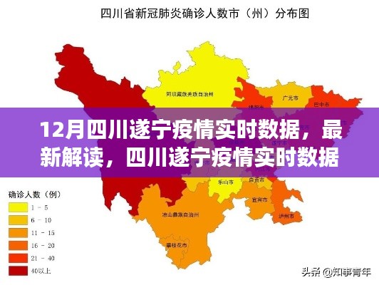 四川遂宁疫情实时数据报告，深度解读与最新分析