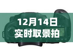 12月14日实时取景拍摄，5D4下的影像魔法大放送