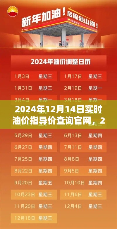 2024年油价走势展望与实时油价指导价查询官网，油价动态一目了然