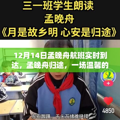 孟晚舟归途，温馨等待与重逢之旅