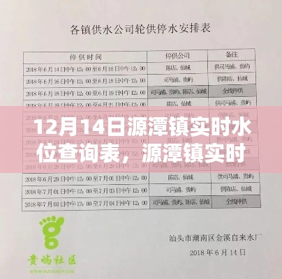 12月14日源潭镇实时水位查询表及操作指南，适合初学者与进阶用户