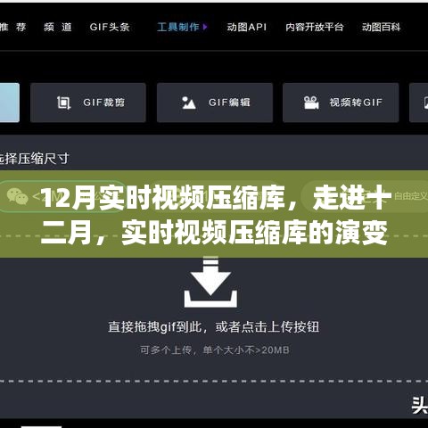 实时视频压缩库演变与影响，十二月深度解析