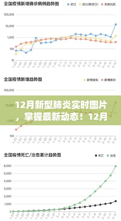 12月新型肺炎实时图片观察解析步骤指南，掌握最新动态