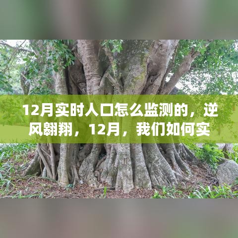 报名 第113页