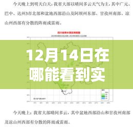 智能天气APP，实时气温尽在指尖，前沿科技引领新体验