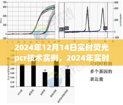 实时荧光PCR技术实例解析与应用前景展望，聚焦2024年发展