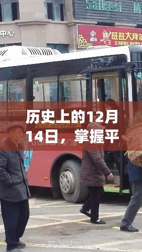 掌握实时查询技能，全面指南——历史上的12月14日如何顺利乘坐203路公交