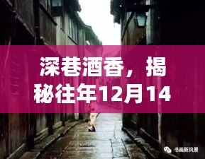 深巷酒香与五粮名门，揭秘往年12月14日的独特行情与美酒奇缘