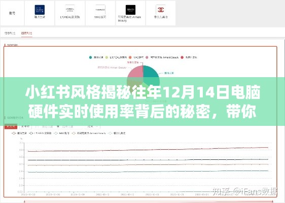 揭秘往年12月14日电脑硬件使用率背后的秘密，数据世界深度探索小红书风格指南