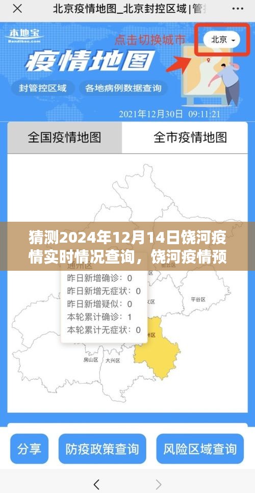 2024年12月14日饶河疫情实时分析与预测，探索未来的防疫之路