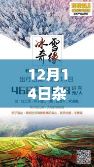 跟随自然之声，心灵之旅启程——12月14日杂志独家呈现