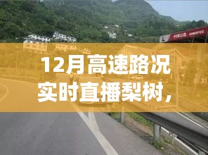 12月高速路况实时直播下的梨树，事件背景、影响与时代地位回顾