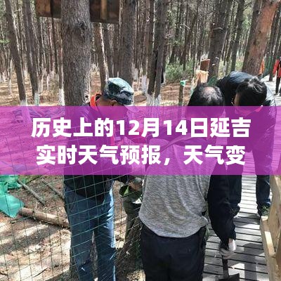 历史上的延吉天气预报变迁，揭秘天气变迁与影响分析在延吉市的实时动态数据报告（十二月十四日）